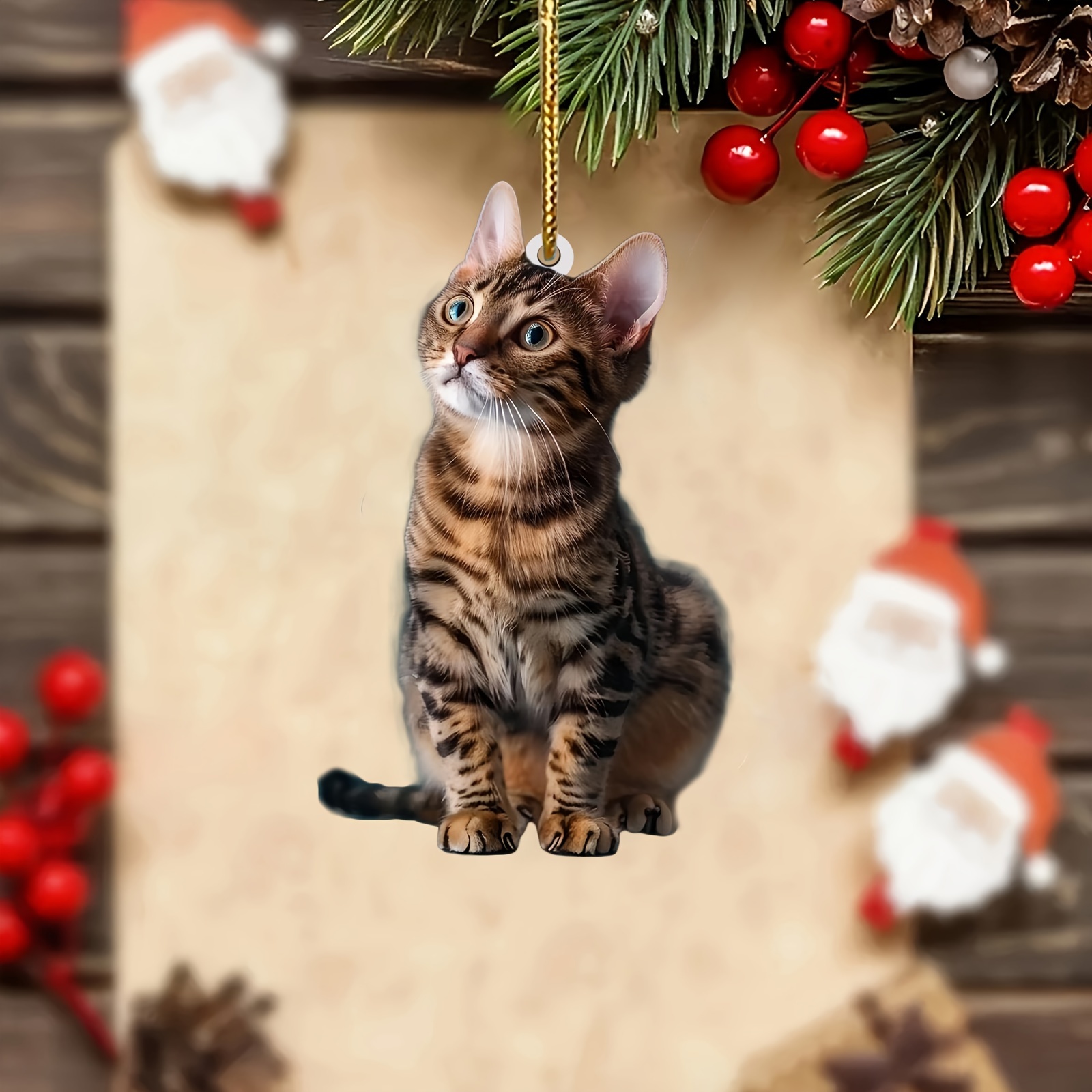 3 pçs 2d gato plano acrílico p - Car Accessories Walmart avaliação e preço