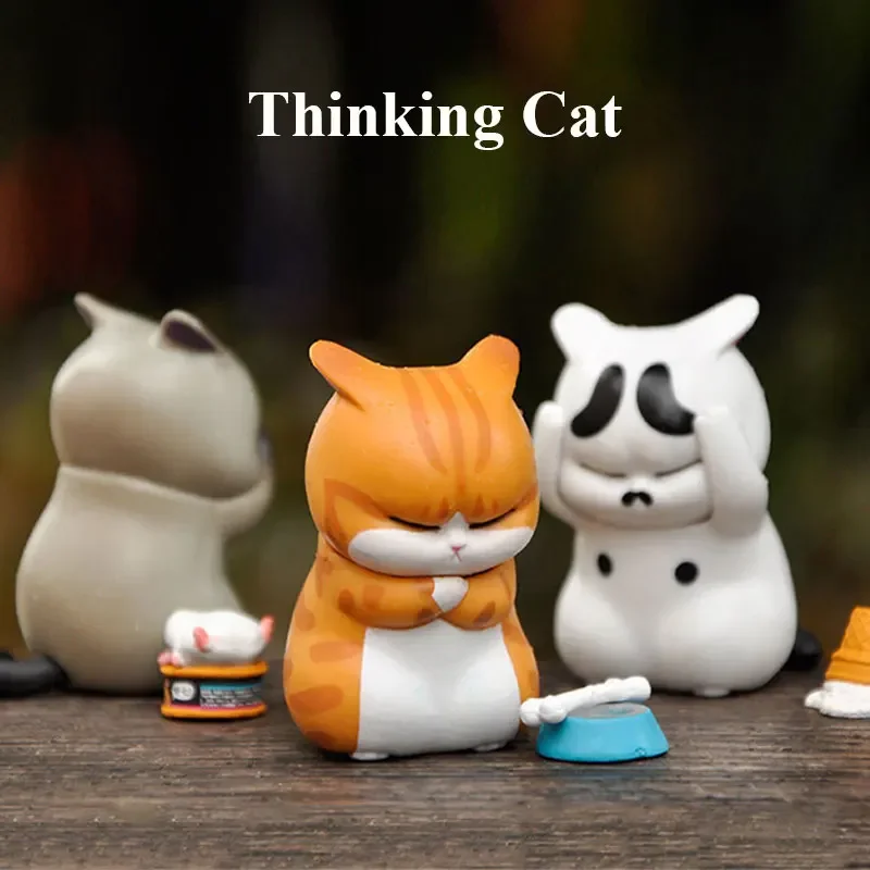 Caixa Surpresa Thinking Cat: M - Car Accessories Girl avaliação e preço